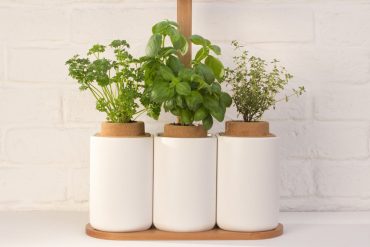 Famous people whose names you don’t know